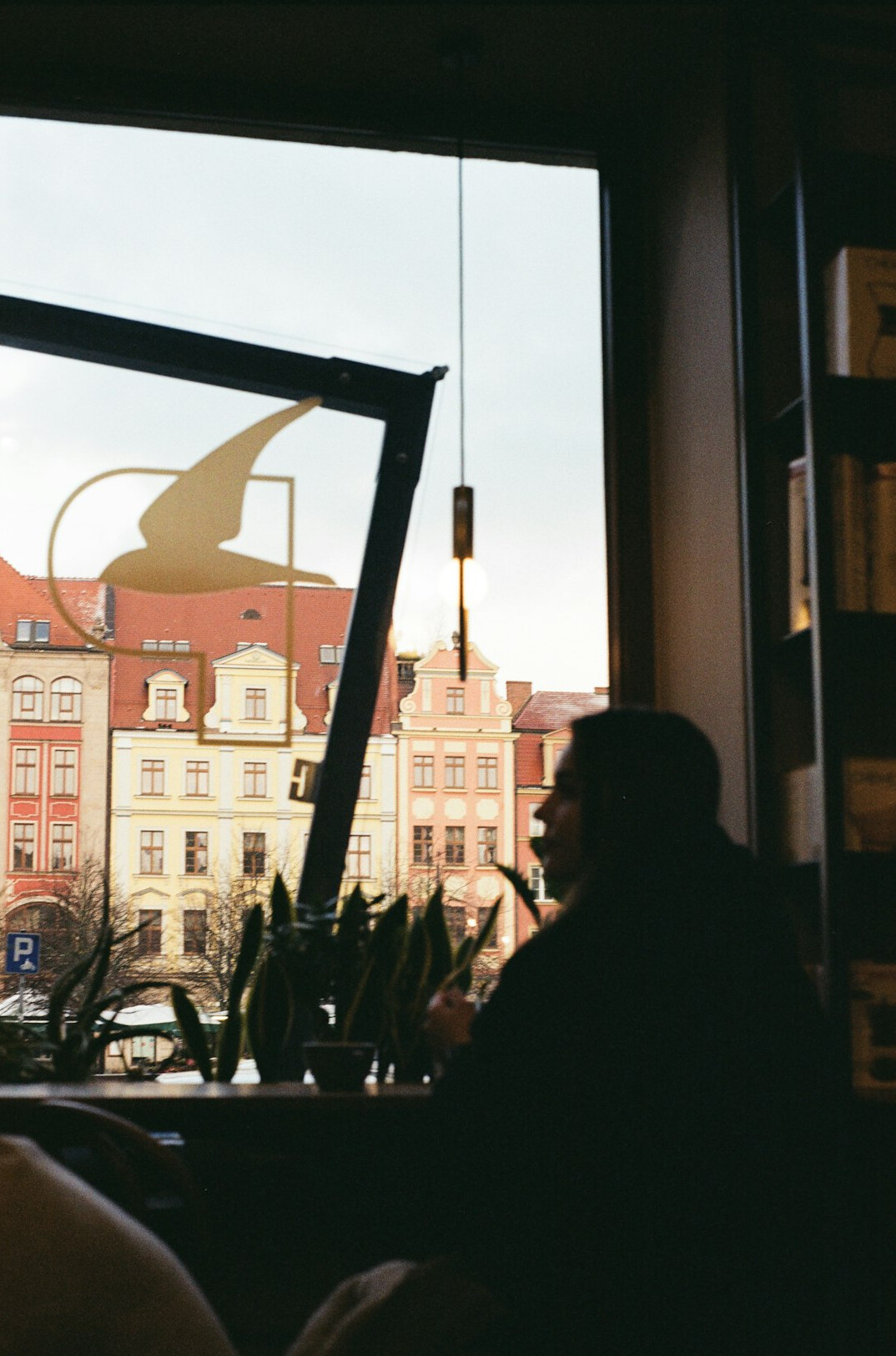 Portrait of an elderly Polish woman sitting by her window